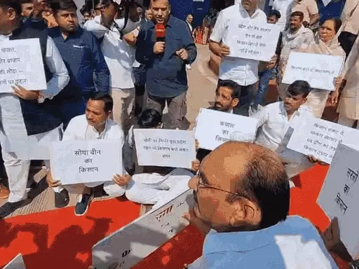 iner-gff-1-21771831252_1771855992