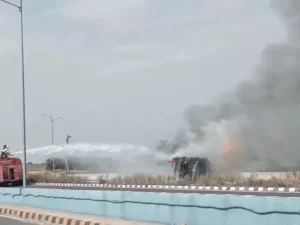 ezgifcom-resize-11_1773826572